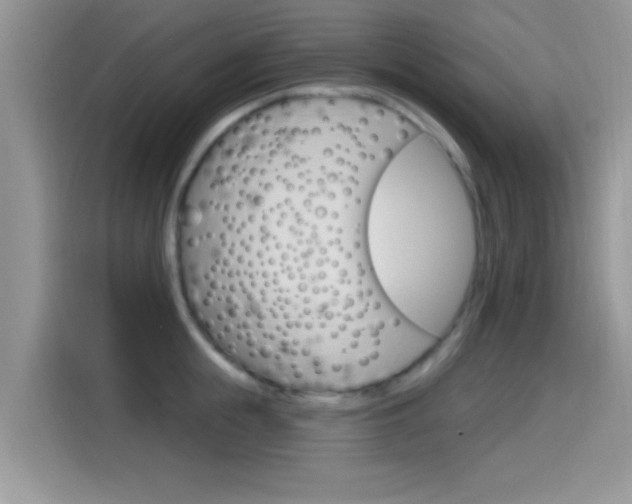 X0000115710855200911121002