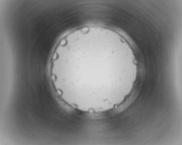 X0000115710856200911121002