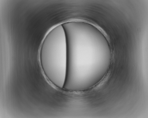 X0000115710862200911121002