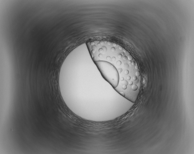 X0000115710867200911121001