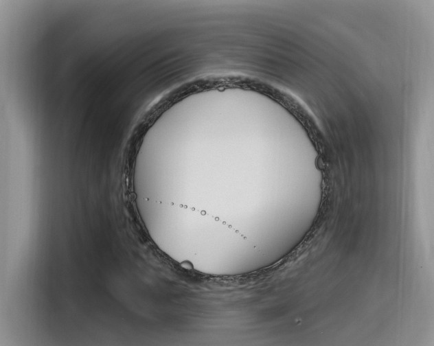 X0000115710871200911121001