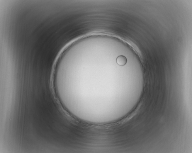 X0000115710880200911121001