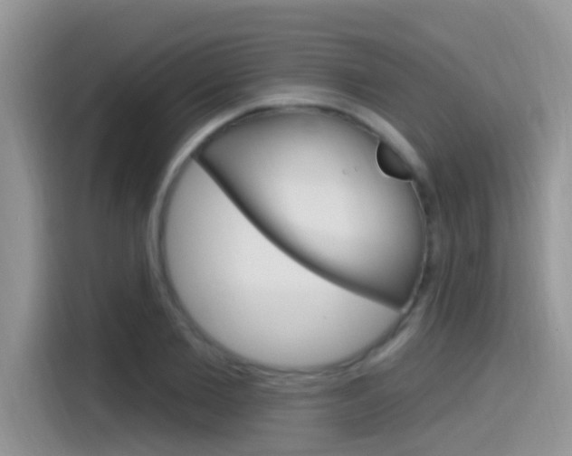 X0000115710885200911121001