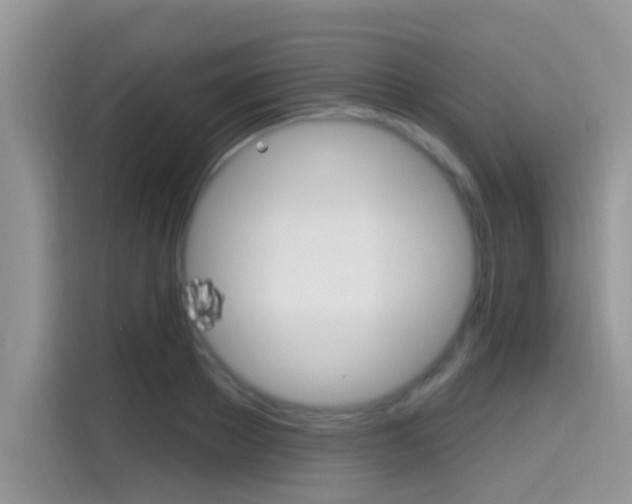 X0000115710889200911121001