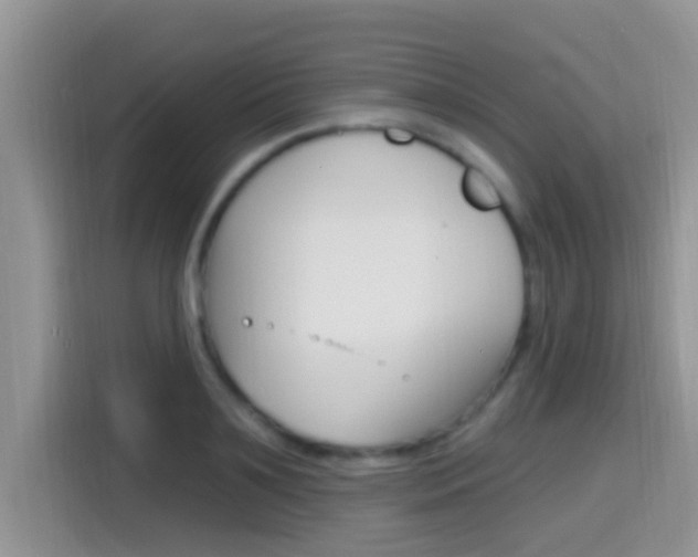 X0000115710891200911121001