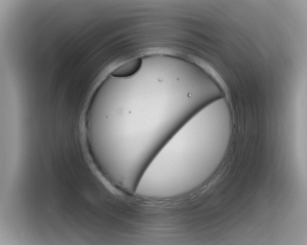 X0000115710898200911121001