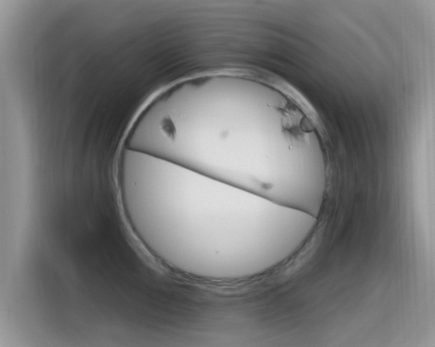 X0000115710907200911121001