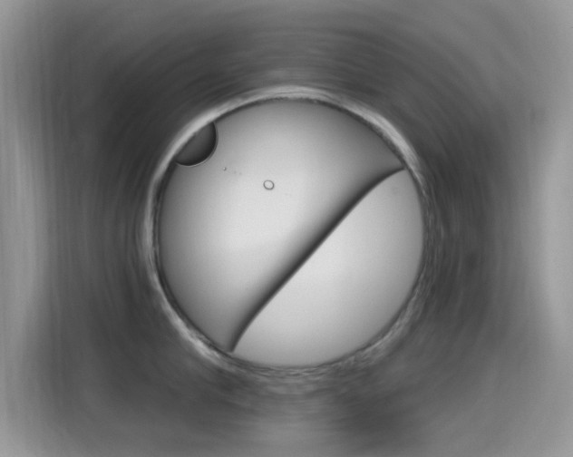 X0000115710910200911121001