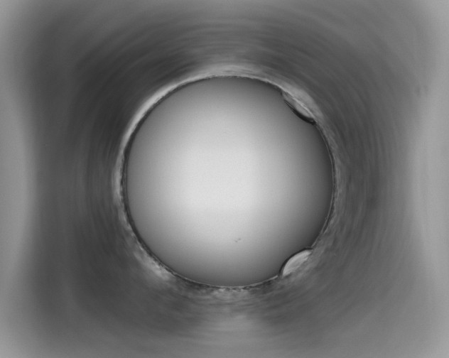 X0000115710912200911121000