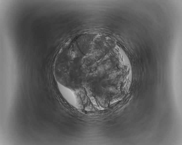 X0000115710913200911121000
