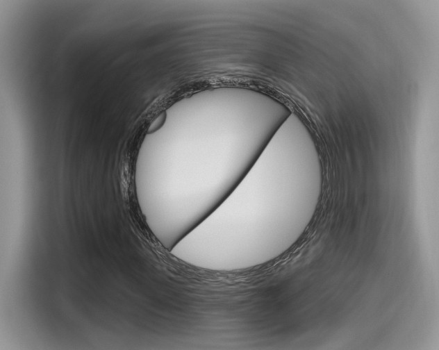 X0000115710915200911121000