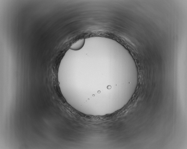 X0000115710917200911121000
