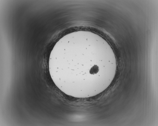 X0000115710918200911121000