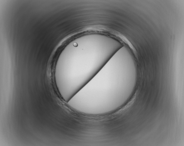 X0000115710923200911121000