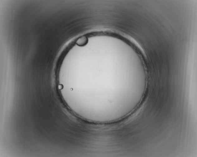 X0000115710927200911121000