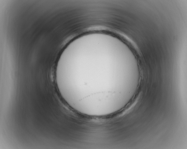 X0000115710929200911121000