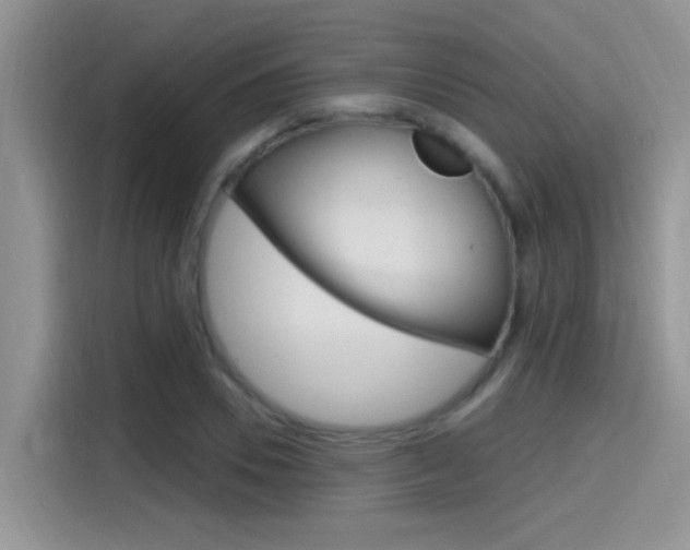 X0000115710930200911121000