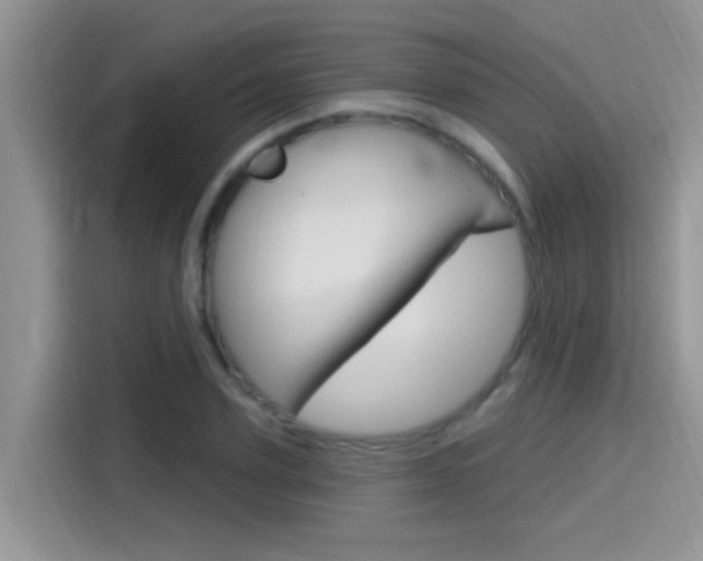 X0000115710931200911121000