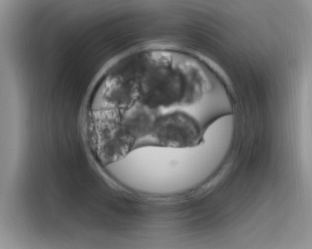 X0000115710941200911121000
