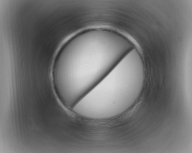 X0000115710943200911121000
