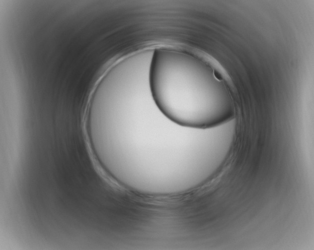 X0000115710946200911121000