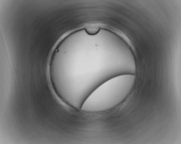 X0000115710947200911121000