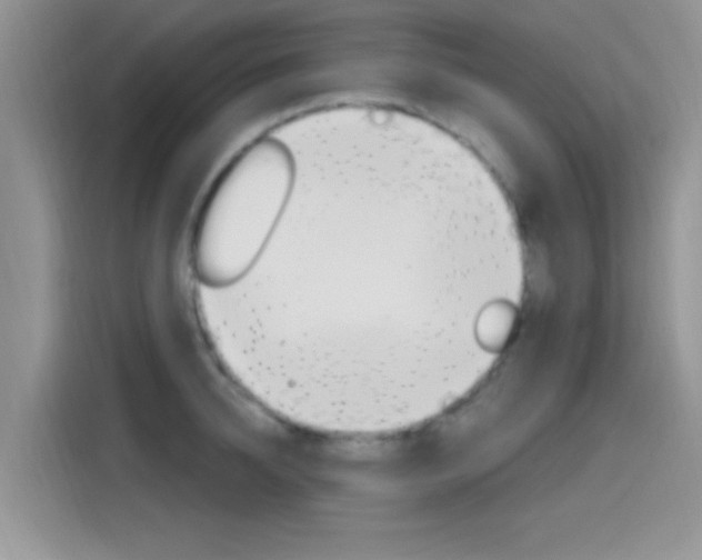 X0000115710950200911121000