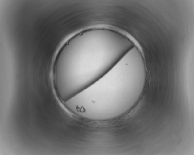 X0000115710951200911121000