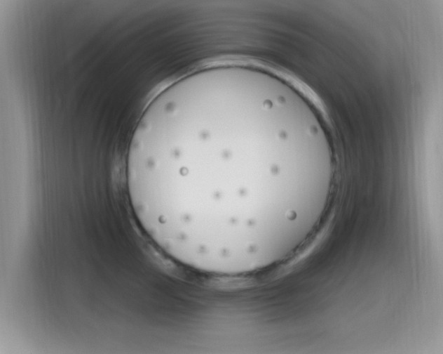 X0000115710953200911121000