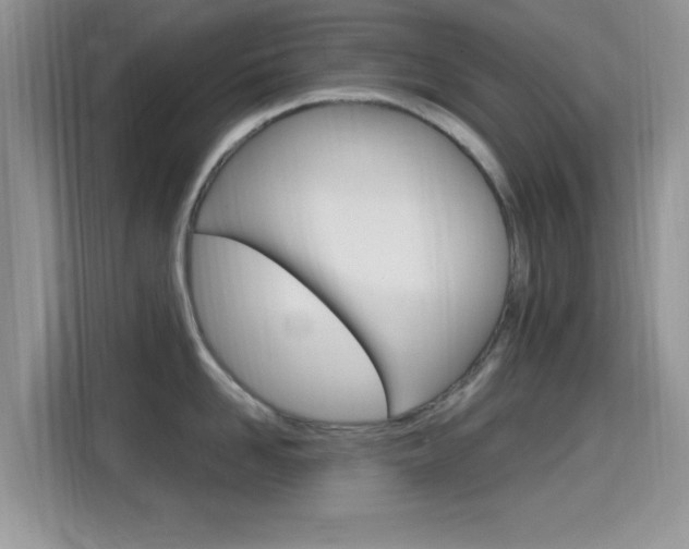 X0000115710958200911121000