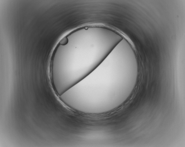 X0000115710959200911121000