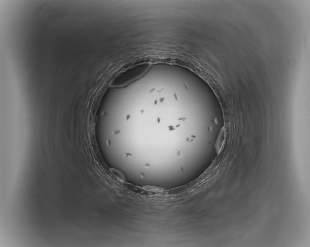 X0000115710961200911121000