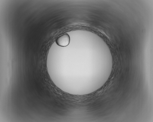 X0000115710965200911121000