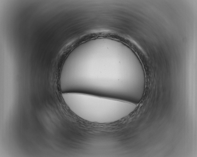 X0000115710967200911121000