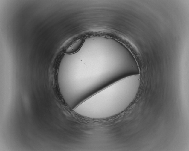 X0000115710968200911121000