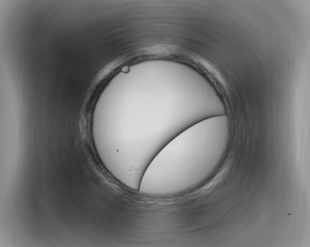 X0000115710970200911121000