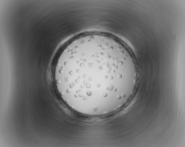 X0000115710974200911121000