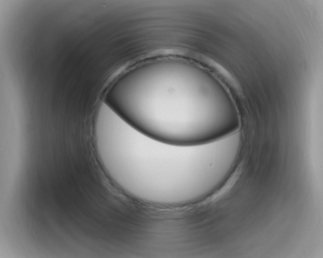 X0000115710977200911121000
