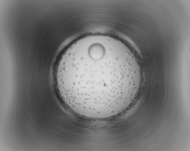X0000115710978200911121000