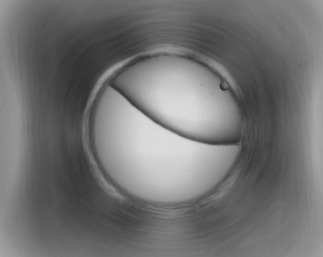 X0000115710987200911120959