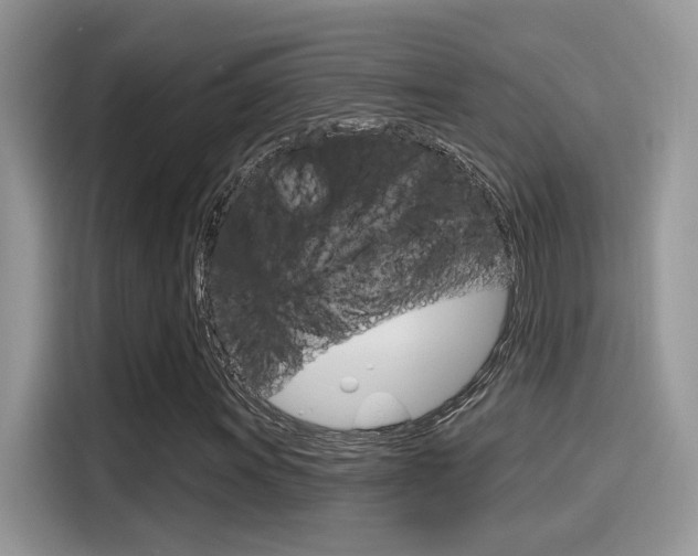 X0000115711011200911120959