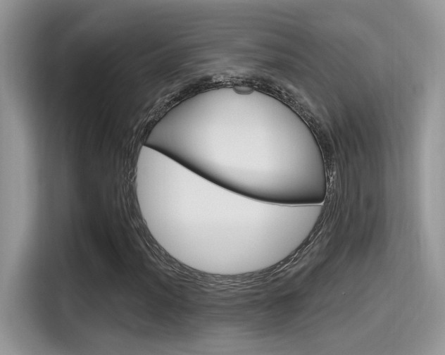 X0000115711012200911120959