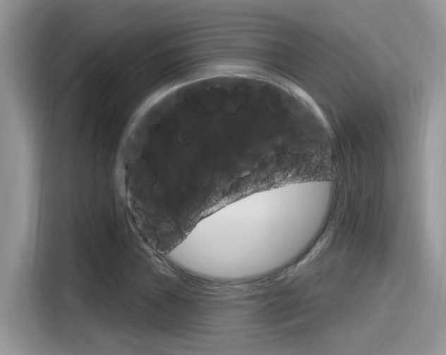 X0000115711019200911120959
