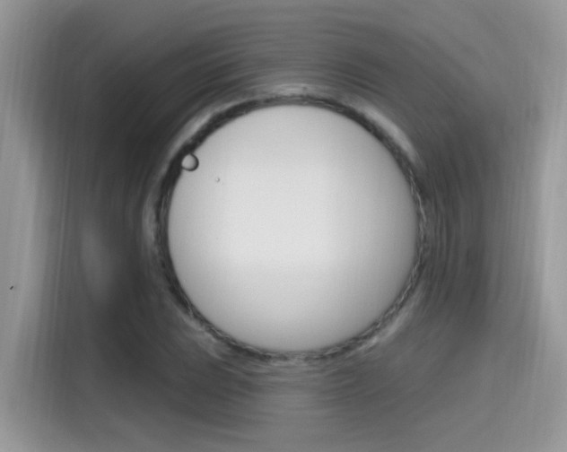 X0000115711023200911120959