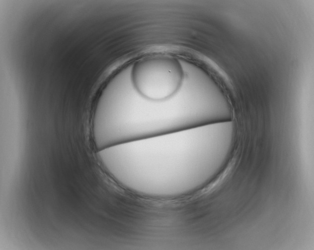 X0000115711025200911120959