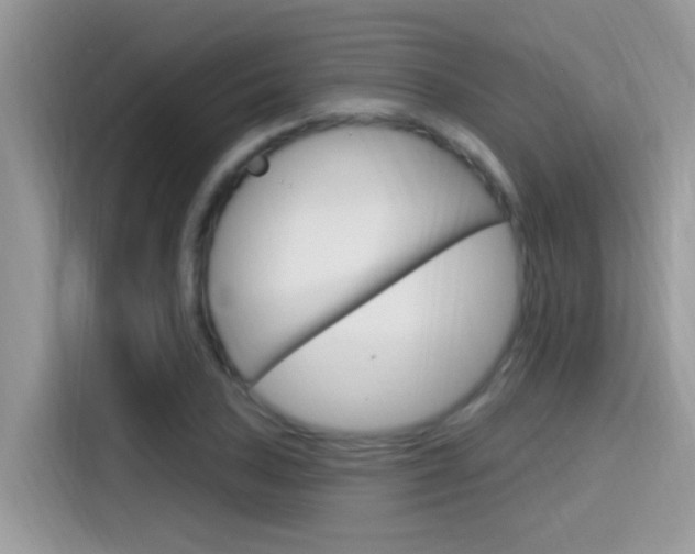 X0000115711027200911120959