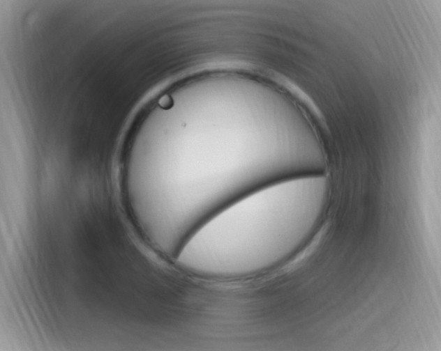 X0000115711029200911120959