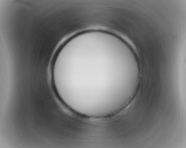 X0000115711032200911120959