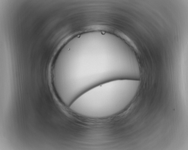 X0000115711039200911120959
