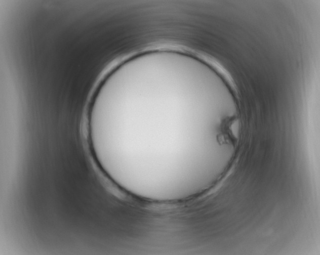 X0000115711040200911120959